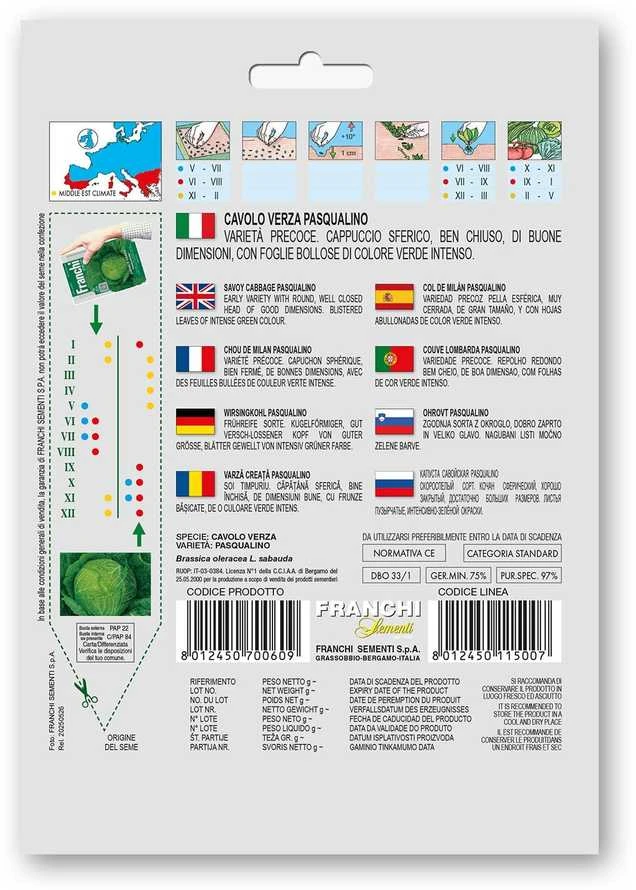 Savojiniai kopūstai (garbanotieji) PASQUALINO