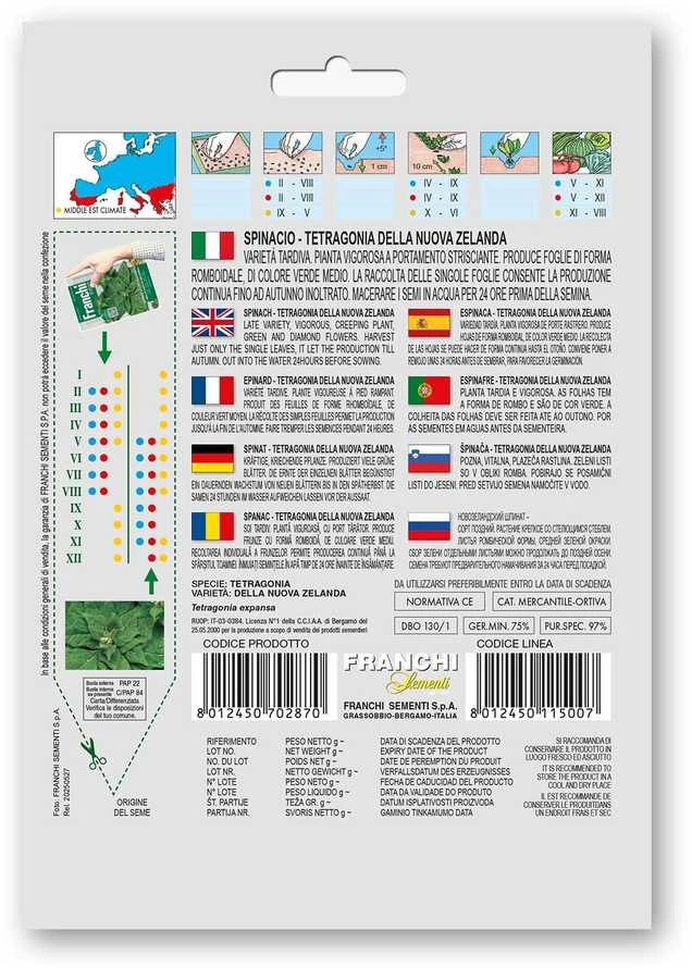Naujosios Zelandijos špinatai (Tetragonija) DELLA NUOVA ZELANDA