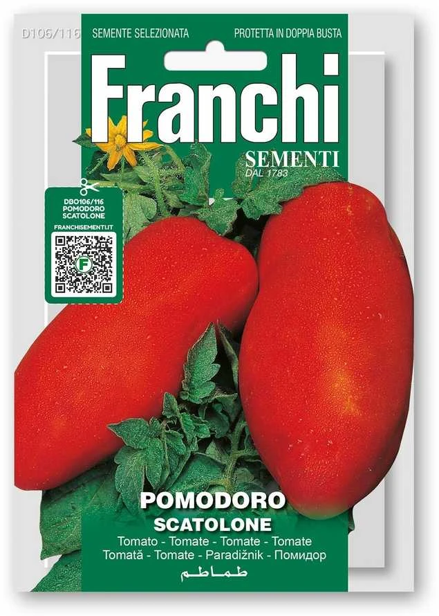 Pomidorai valgomieji SCATOLONE 3