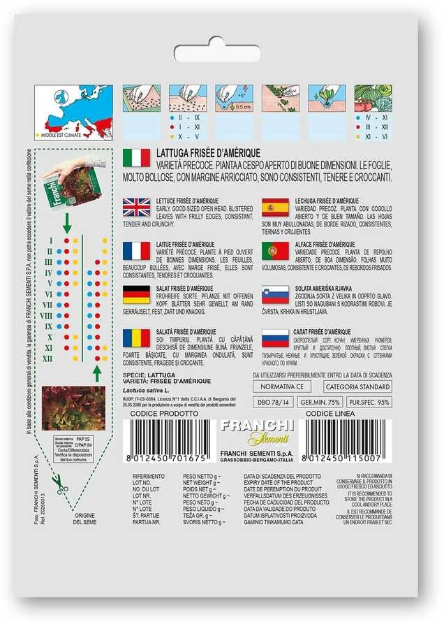Salotos sėjamosios FRISÉE D'AMÉRIQUE