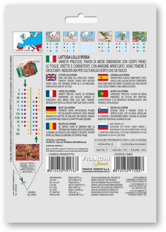 Salotos sėjamosios RICCIA LOLLO ROSSA
