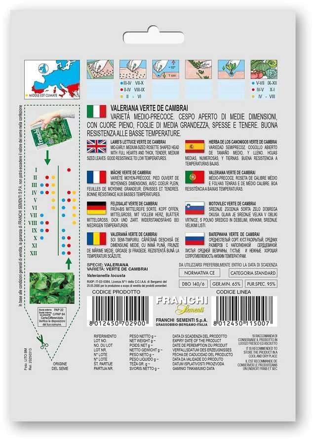 Sultenės salotinės VERTE DE CAMBRAI