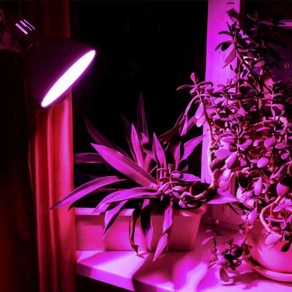 Fito LED augalų lemputė E27 8W 14umol/s 1200K kampas<360*, VIDEX VLE-A60FF-08271 | A60, Bicolor – Specialus spektras kambariniams augalams ir daigams