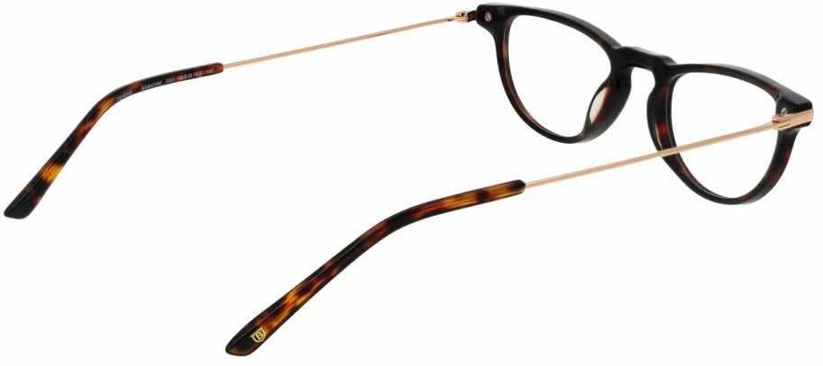 Akinių rėmeliai BULGET EYEWEAR BG6470M 48G21 (vyrams)