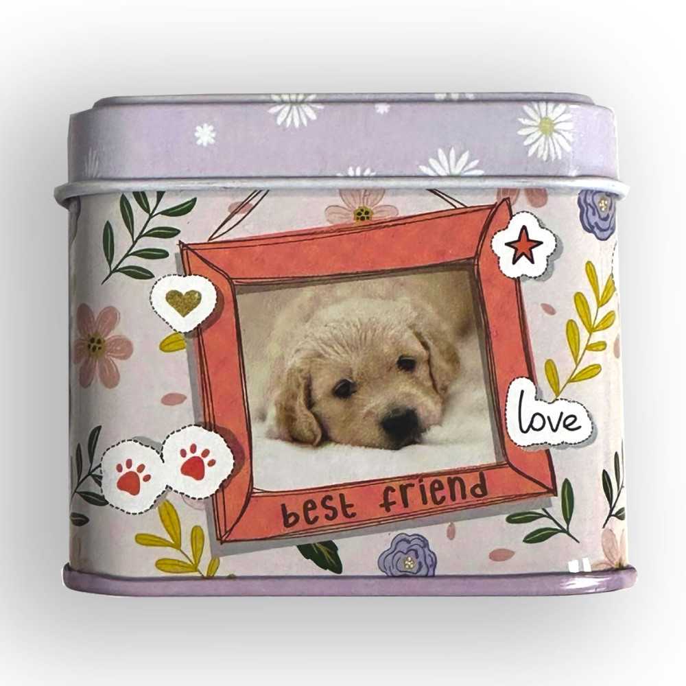 Animals Cutiez mini metalinė dėžutė 7,5 cm