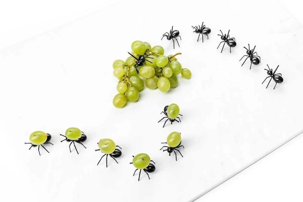 ANT vakarėlio favoritai