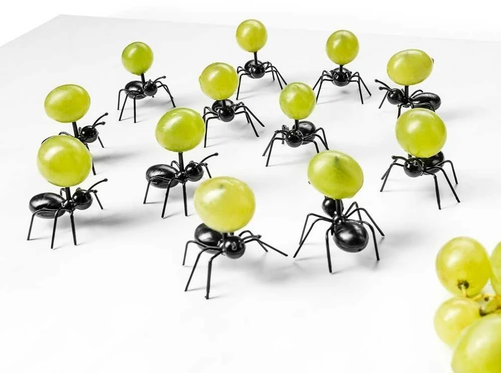 ANT vakarėlio favoritai