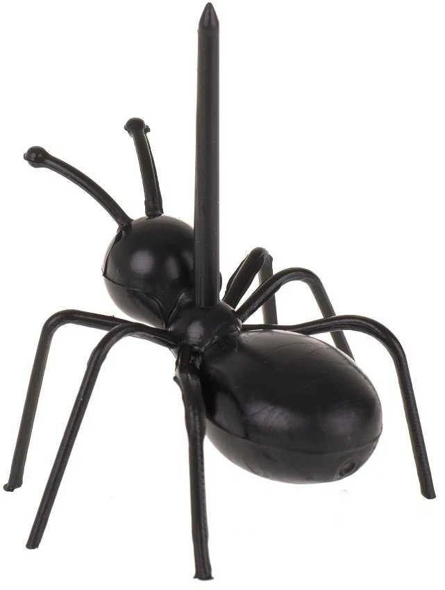 ANT vakarėlio favoritai