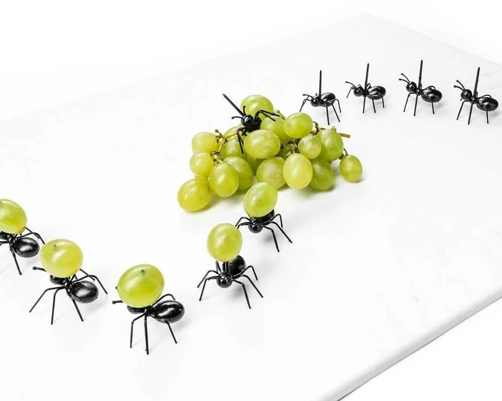 ANT vakarėlio favoritai