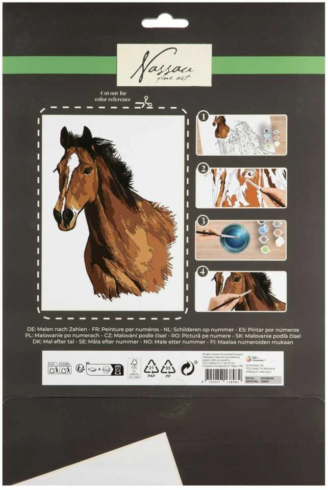 Grafix Ccg Mz Import CCG dažai pagal skaičius Horse AR1066 38982