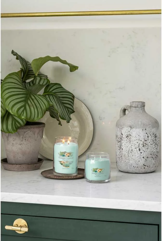 Yankee Candle Aromatinė žvakė Signature glass medium Aloe - Agave 368 g