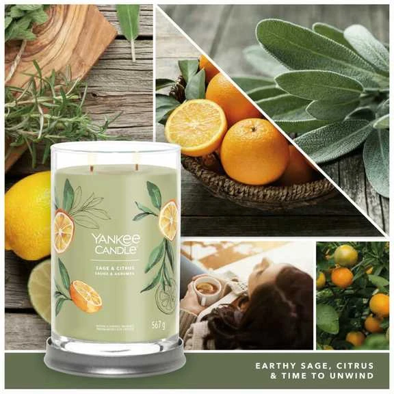 Yankee Candle Aromatinė žvakė Signature tumbler large Sage - Citrus 567 g