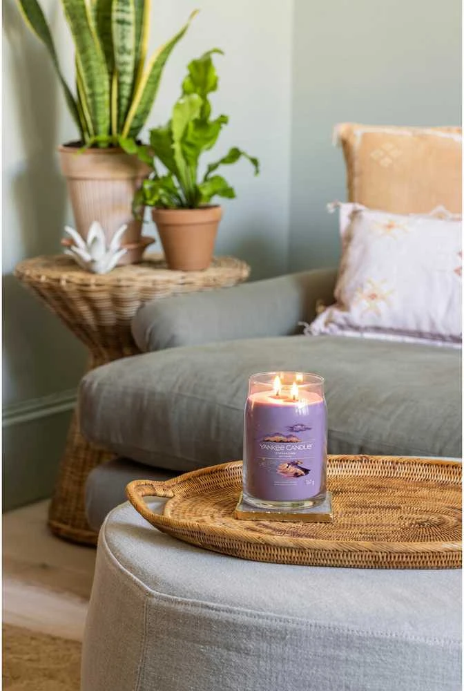 Yankee Candle Aromatinė žvakė Signatūrinis stiklas didelis Stargazing 567 g