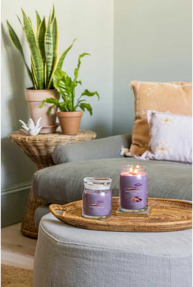 Yankee Candle Aromatinė žvakė Signatūrinis stiklas didelis Stargazing 567 g