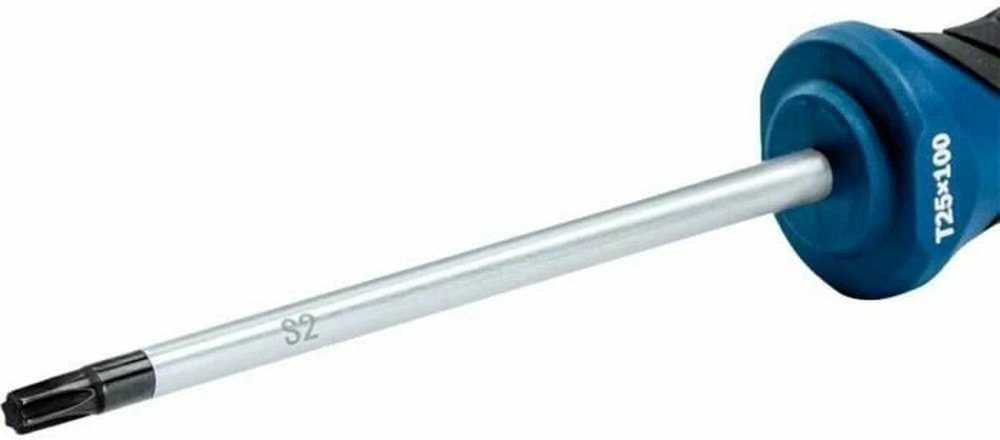 Bosch Atsuktuvas TX25 x 100mm
