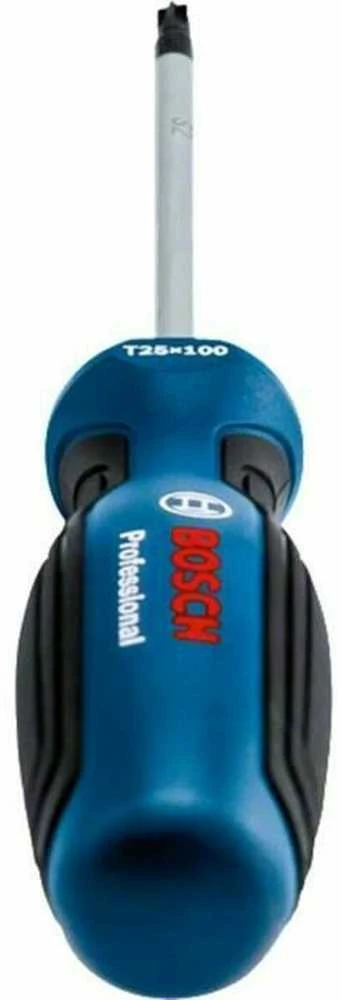 Bosch Atsuktuvas TX25 x 100mm