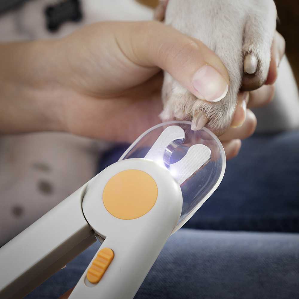 Augintinių nagų kirpimo žirklės su šviesos diodais Clipet InnovaGoods