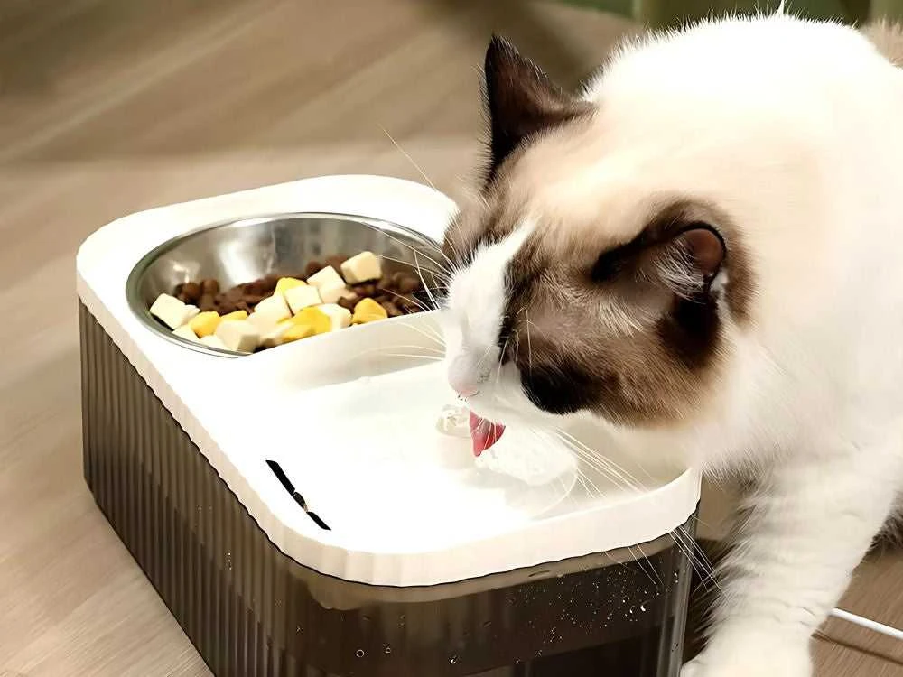 Vandens fontano sistema katėms ir šunims, 3L