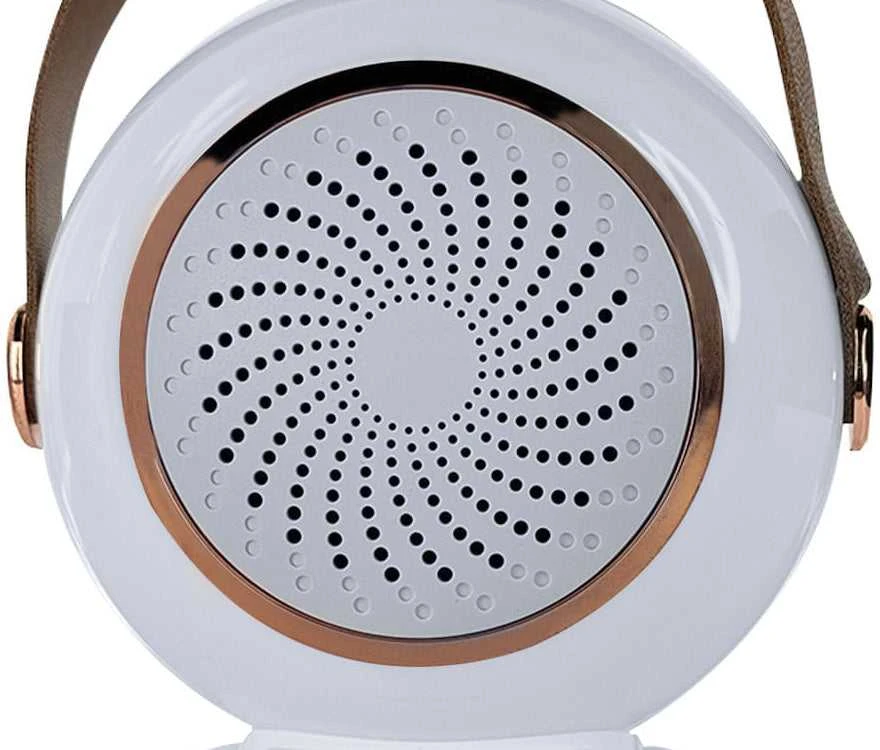 Belaidis asmeninis karaoke rinkinys su „Bluetooth“ garsiakalbiu + 2 mikrofonais