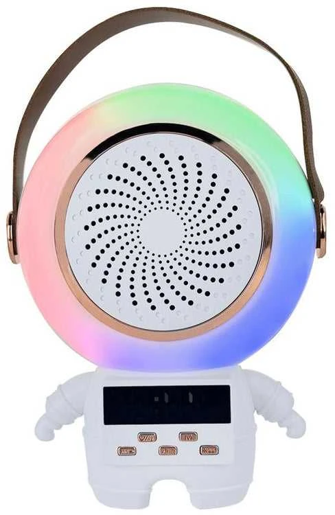 Belaidis karaoke garsiakalbis su Bluetooth ir 2 mikrofonais