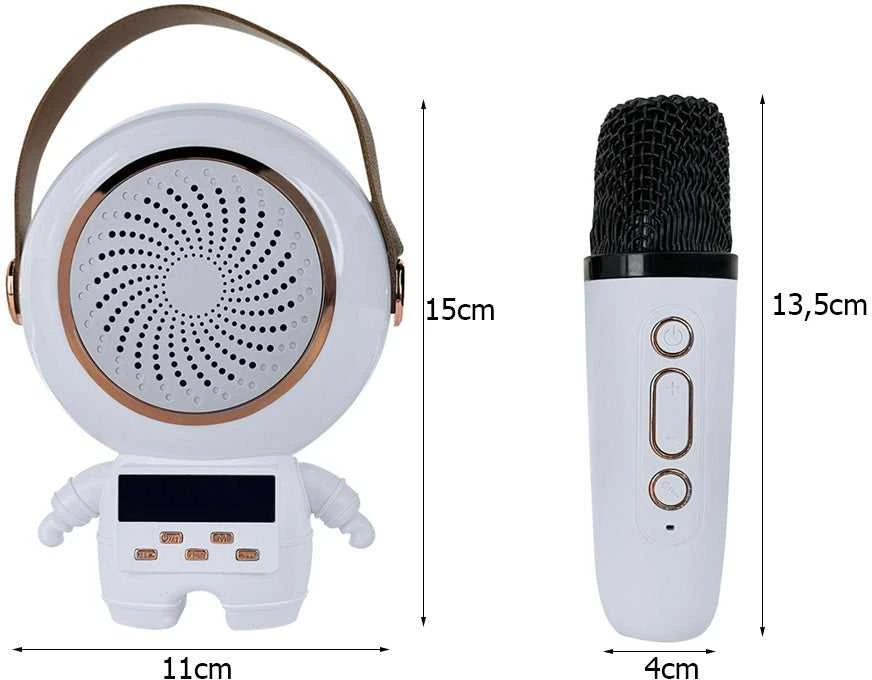 Belaidis karaoke garsiakalbis su Bluetooth ir 2 mikrofonais