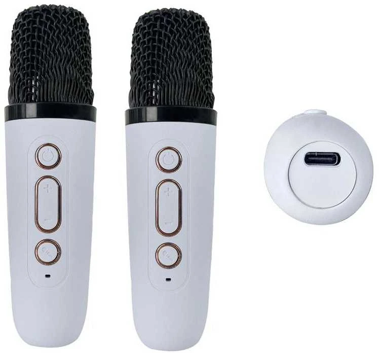 Belaidis karaoke garsiakalbis su Bluetooth ir 2 mikrofonais