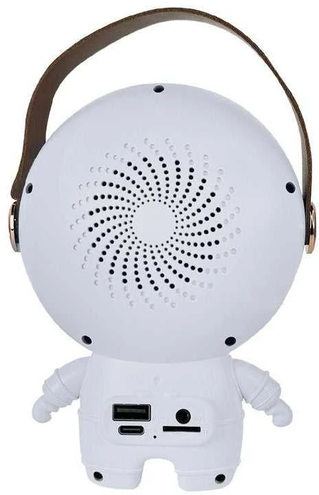 Belaidis asmeninis karaoke rinkinys su „Bluetooth“ garsiakalbiu + 2 mikrofonais