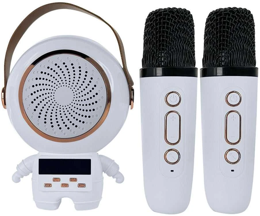 Belaidis karaoke garsiakalbis su Bluetooth ir 2 mikrofonais