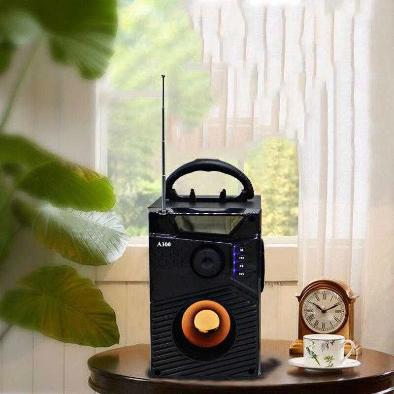 Belaidis „Bluetooth“ garsiakalbis / radijas