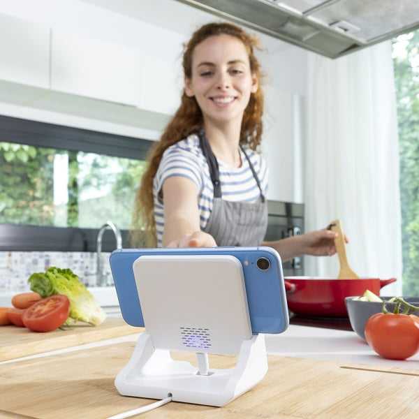 Kelių padėčių belaidis įkroviklis su atramine baze Pomchar InnovaGoods