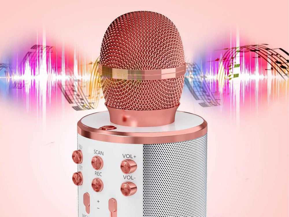 Belaidis mikrofonas su garsiakalbiu ir karaoke funkcija