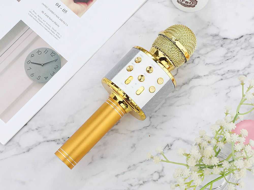 Belaidis mikrofonas su Bluetooth ir karaoke garsiakalbiu bei dėklu, 22 cm, auksinis