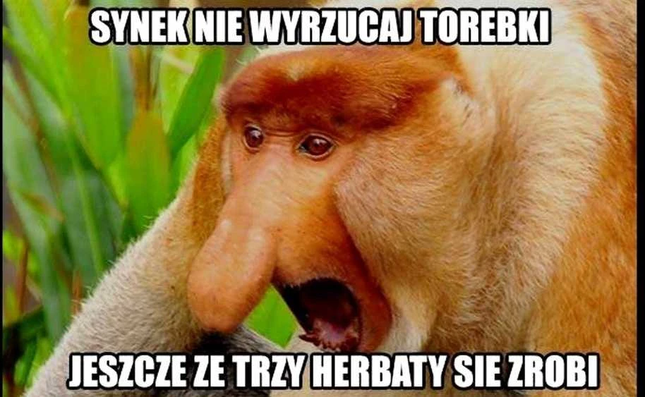 GM kaukė "lenkiška nosis"