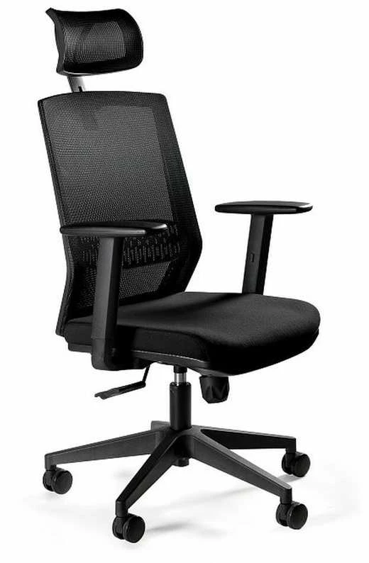 Ergonomiška biuro kėdė darbui Esta