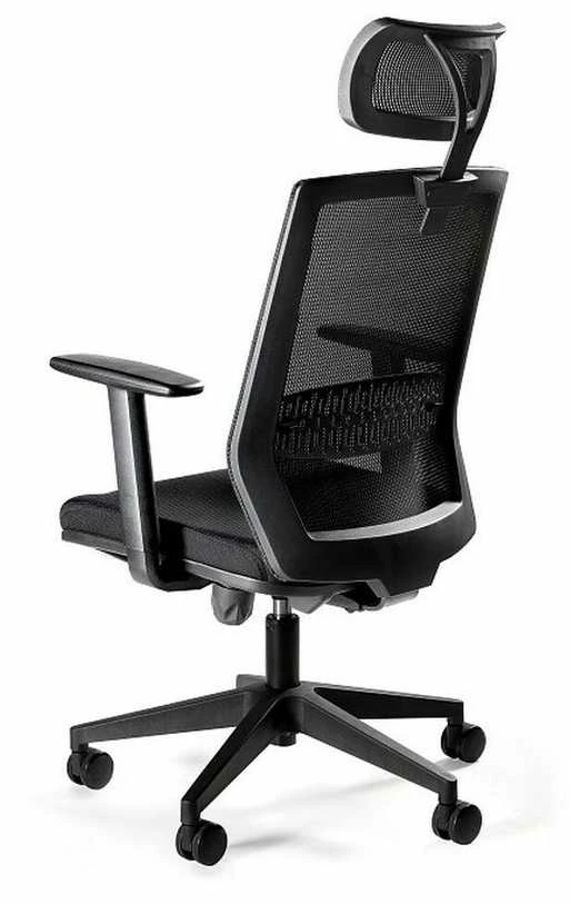 Ergonomiška biuro kėdė darbui Esta