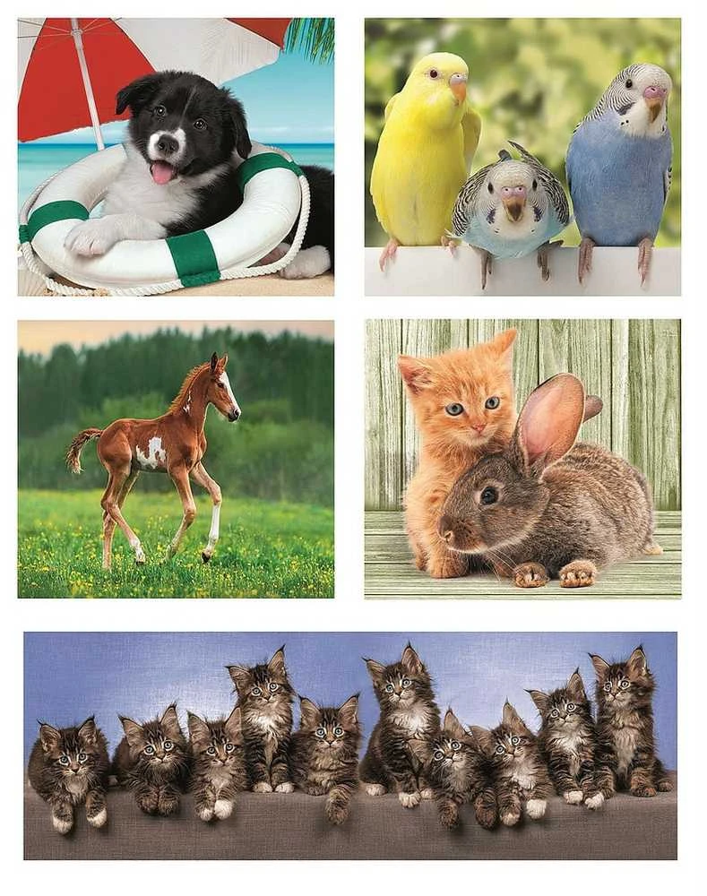 Clementoni Dėlionė 330 vnt. - Gyvūnai