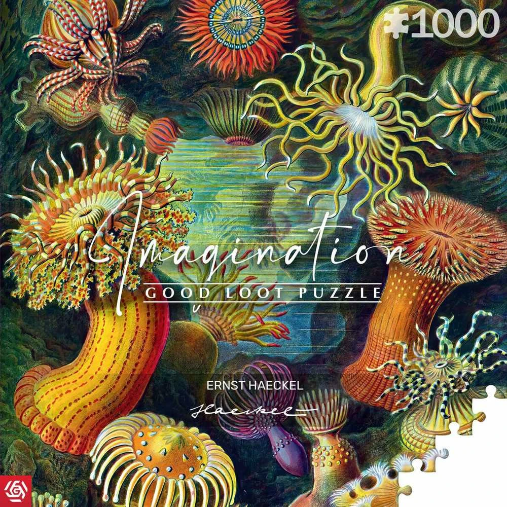 Cenega Vaizduotės dėlionė: Ernst Haeckel Jūros gyvūnai 1000 elementų