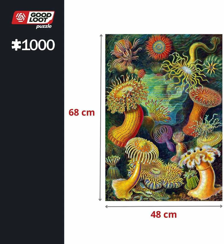 Cenega Vaizduotės dėlionė: Ernst Haeckel Jūros gyvūnai 1000 elementų