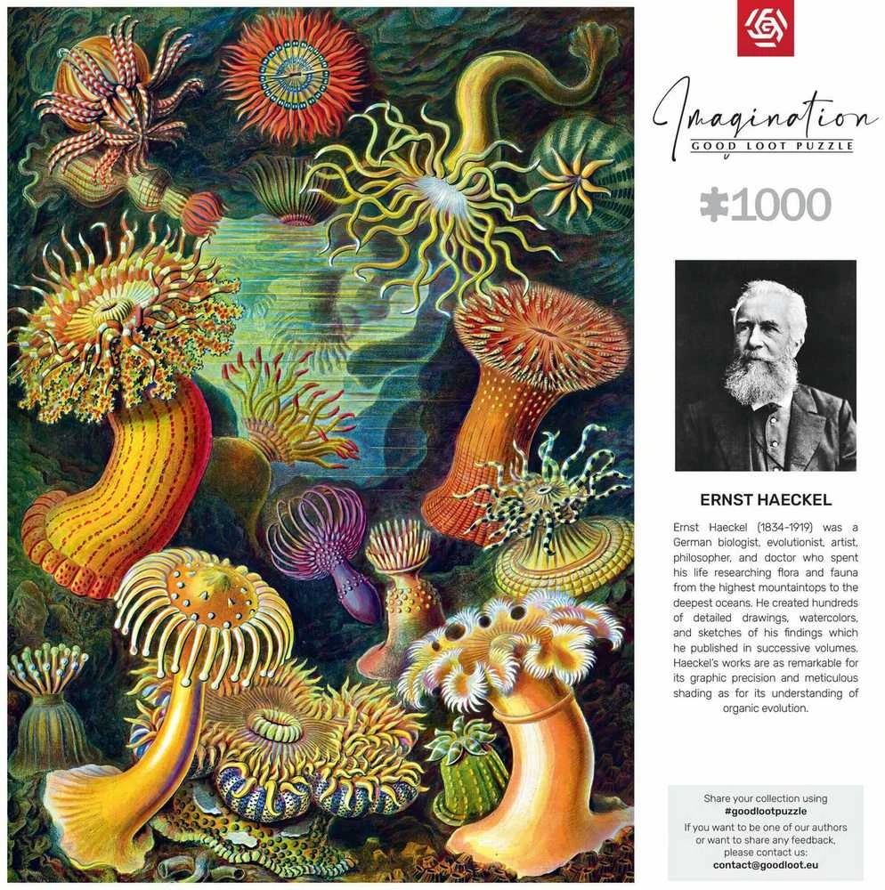 Cenega Vaizduotės dėlionė: Ernst Haeckel Jūros gyvūnai 1000 elementų