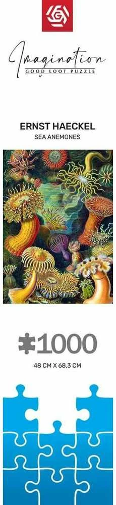 Cenega Vaizduotės dėlionė: Ernst Haeckel Jūros gyvūnai 1000 elementų