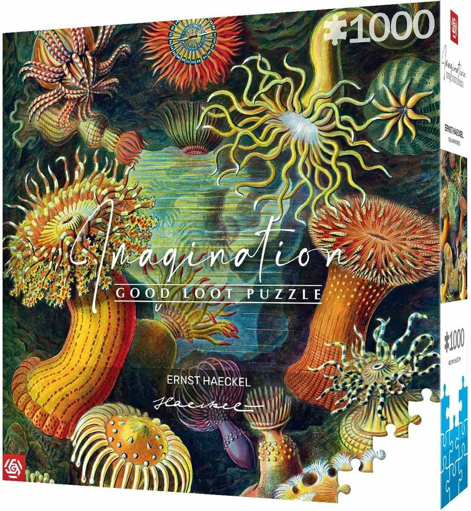 Cenega Vaizduotės dėlionė: Ernst Haeckel Jūros gyvūnai 1000 elementų