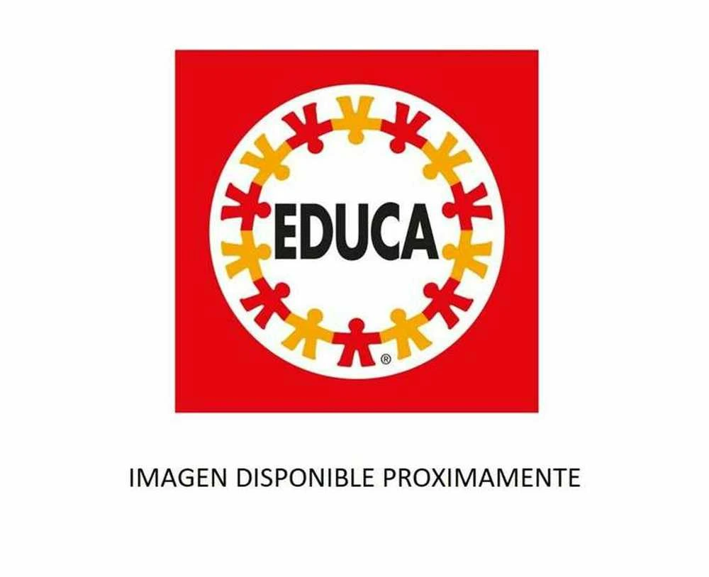 Educa dėlionė 1000 vnt. - Asteroido misija
