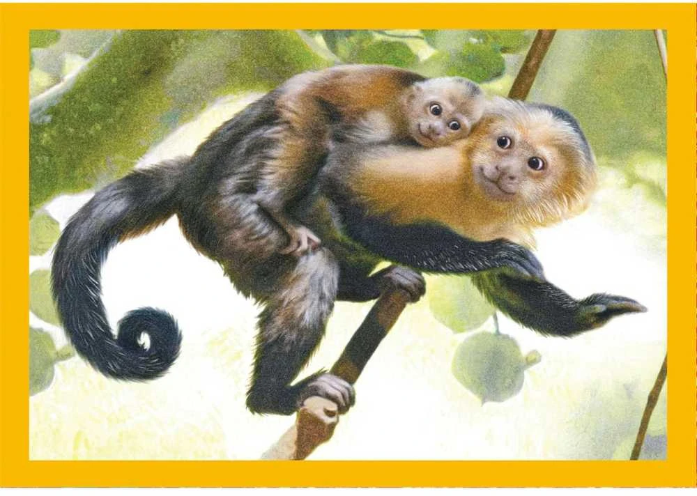 Clementoni Dėlionė 72 vnt. - Gyvūnai su jaunikliais