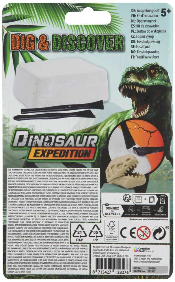 Dinozaurų ekspedicijos mini tyrinėtojų rinkinys
