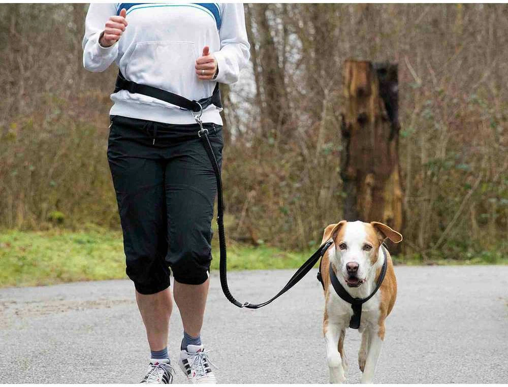 TRIXIE Juosmens diržas su pavadėliu, paminkštintas neoprenu, diržas 70-130 cm-9 cm