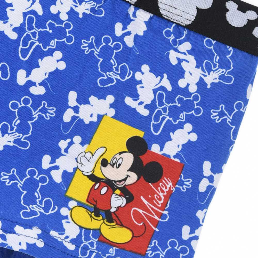 „Disney Mickey“ vaikiškos bokseriai, 2 vnt. pakuotėje, 2/3 metai