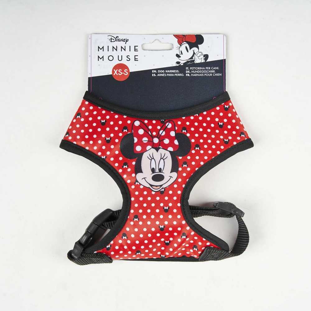 Šuns pakinktai Minnie Mouse
