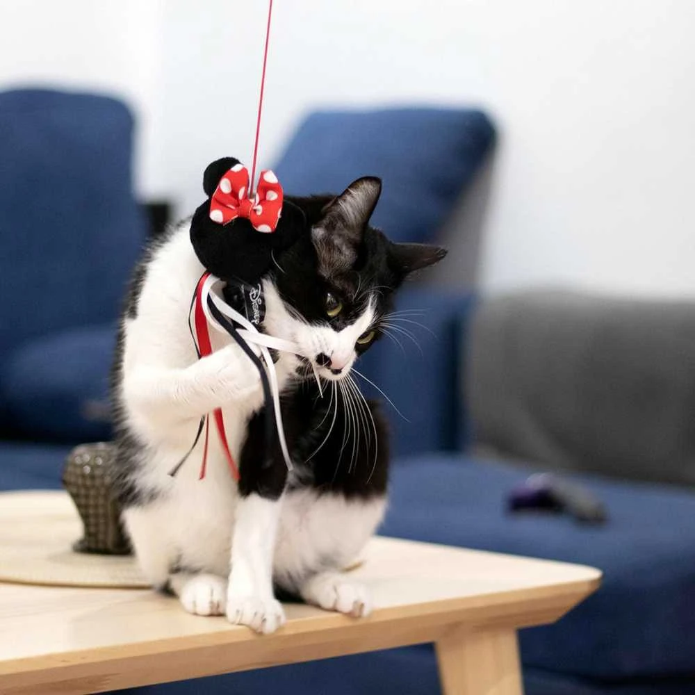 žaislas katėms Minnie Mouse Juoda 100 % poliesteris