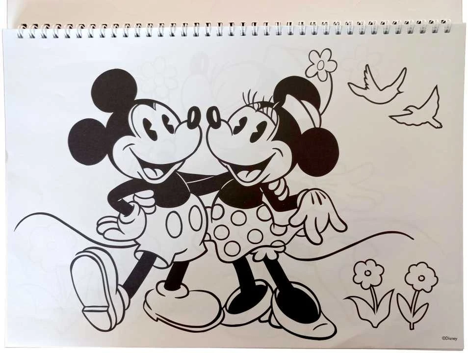 Disney Minnie Nomadic Spirit A/4 spiralinis eskizų sąsiuvinis su 40 lapų ir lipdukais