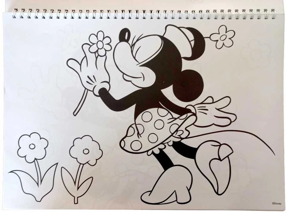 Disney Minnie Nomadic Spirit A/4 spiralinis eskizų sąsiuvinis su 40 lapų ir lipdukais